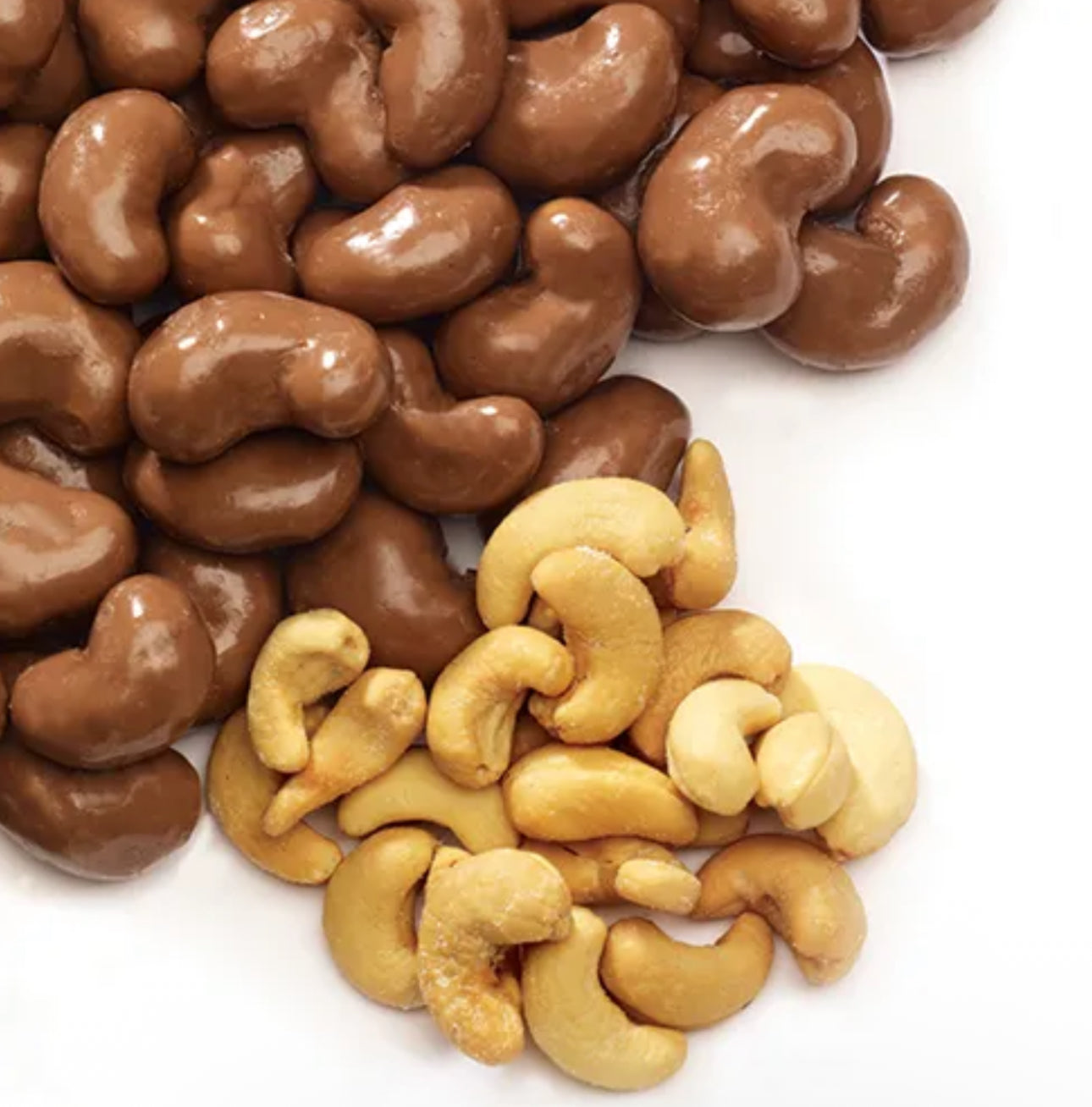 Chocolate Covered Cashews