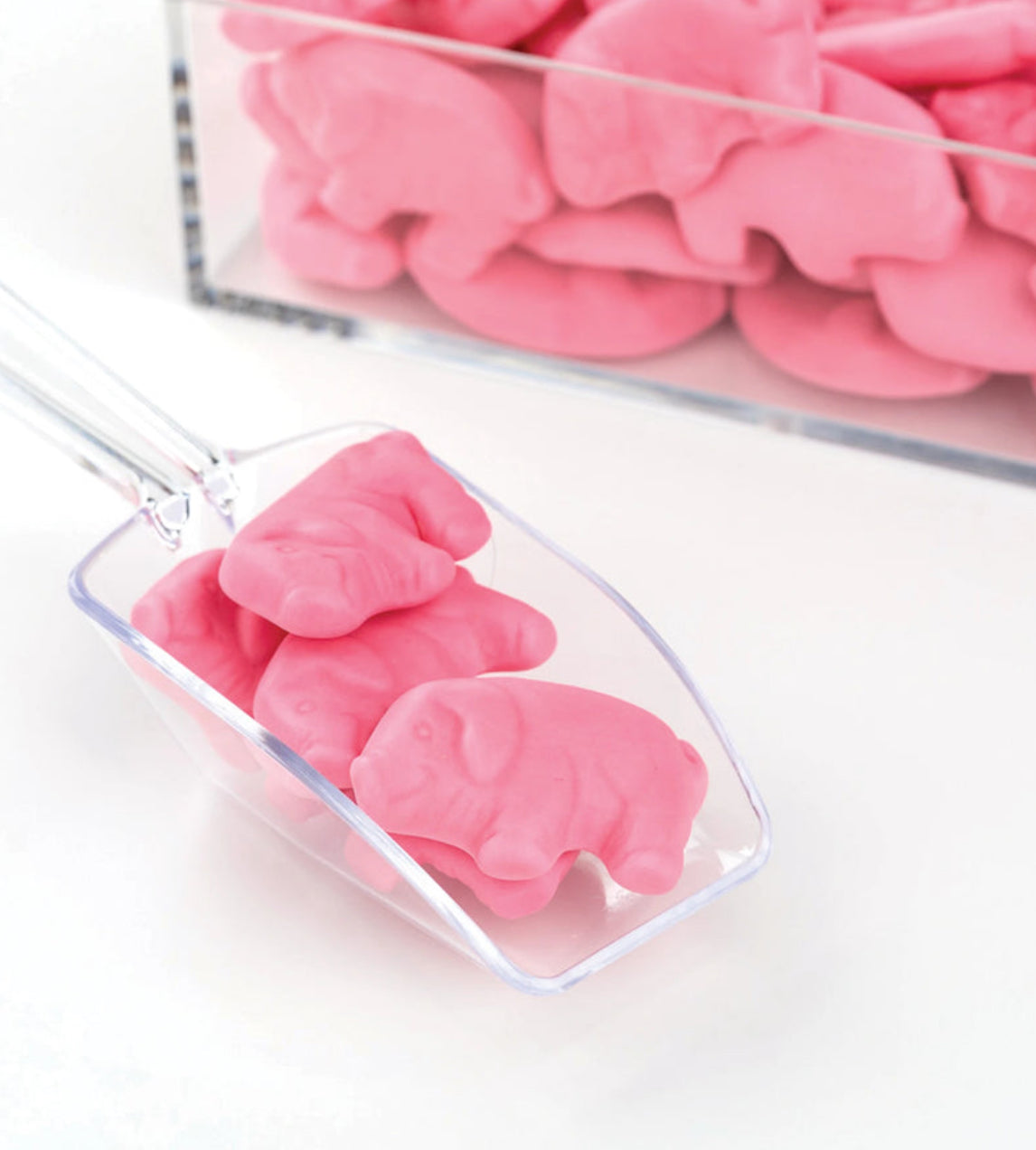 Gummy Pigs